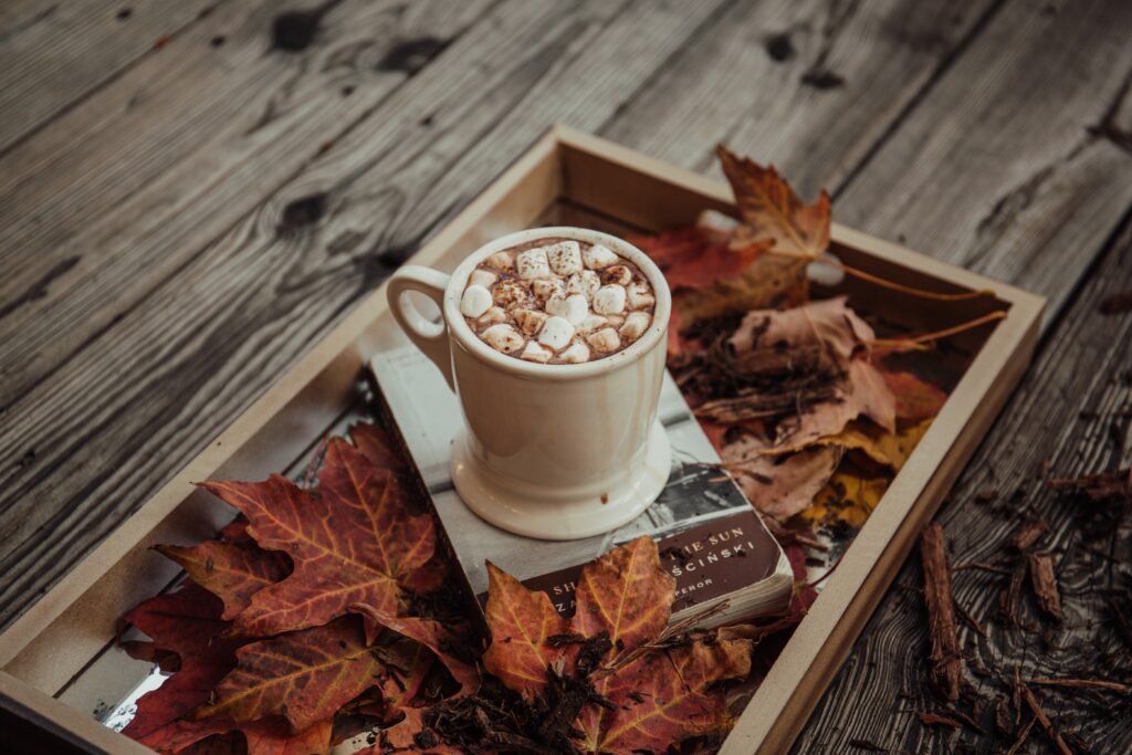 Vegan Hot Chocolate Recipes for Winter