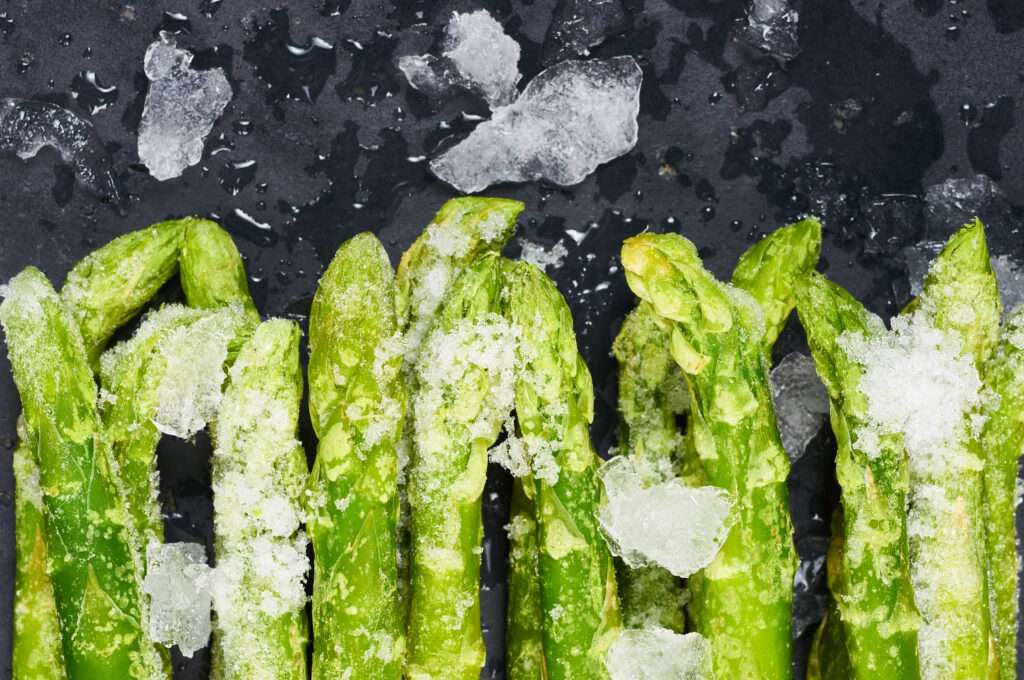 Damaged Door Seal Frozen Fridge Food