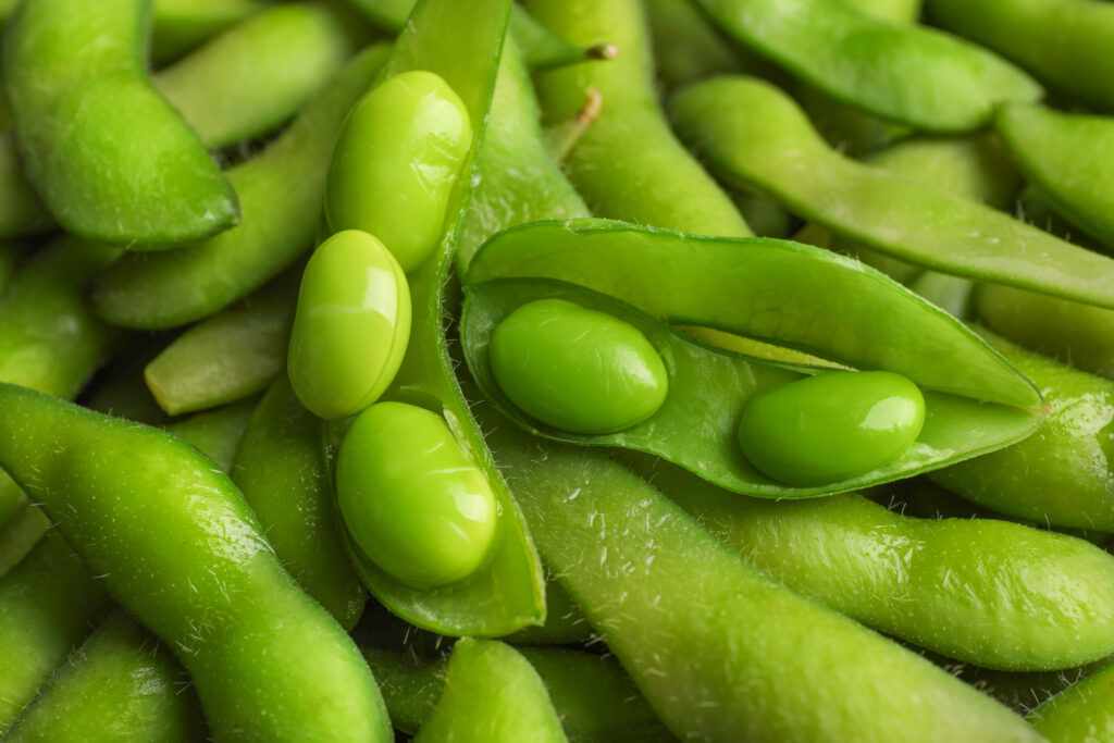 Edamame Plant-Based Protein Sources