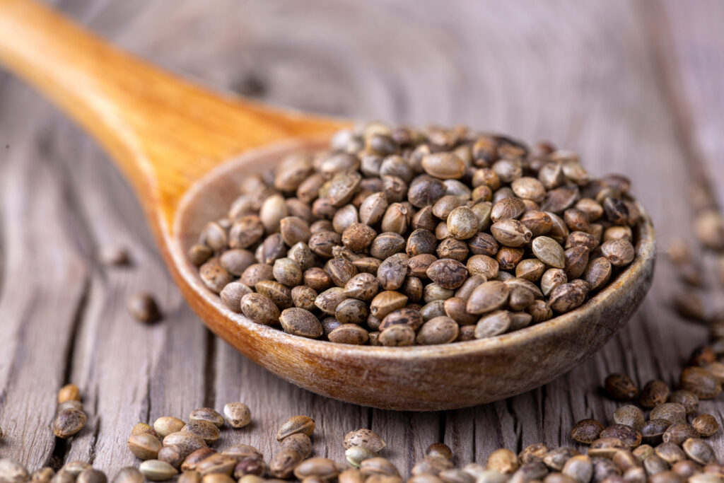 Hemp Seeds Plant-Based Protein Sources