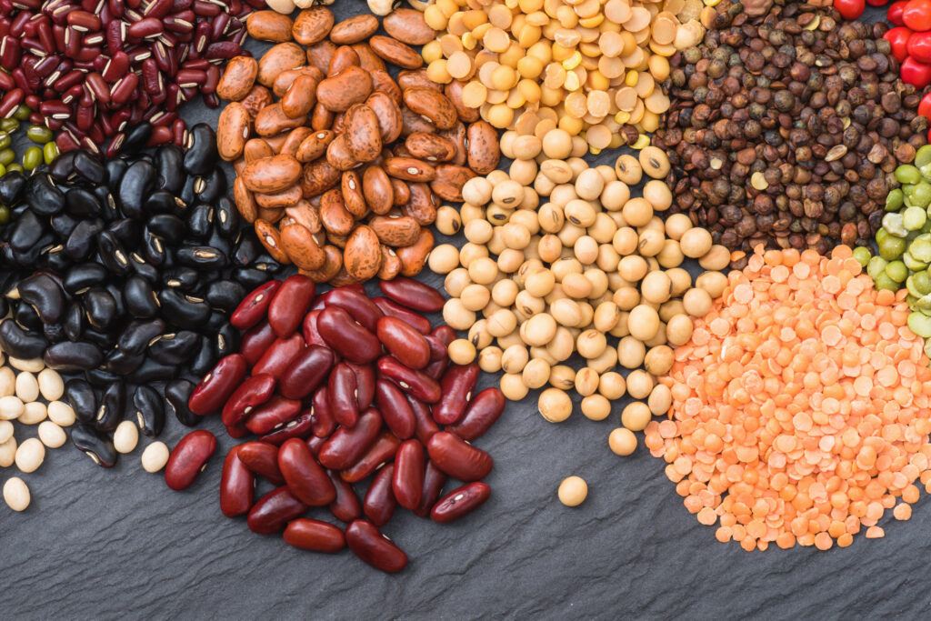 Legumes Plant-Based Protein Sources