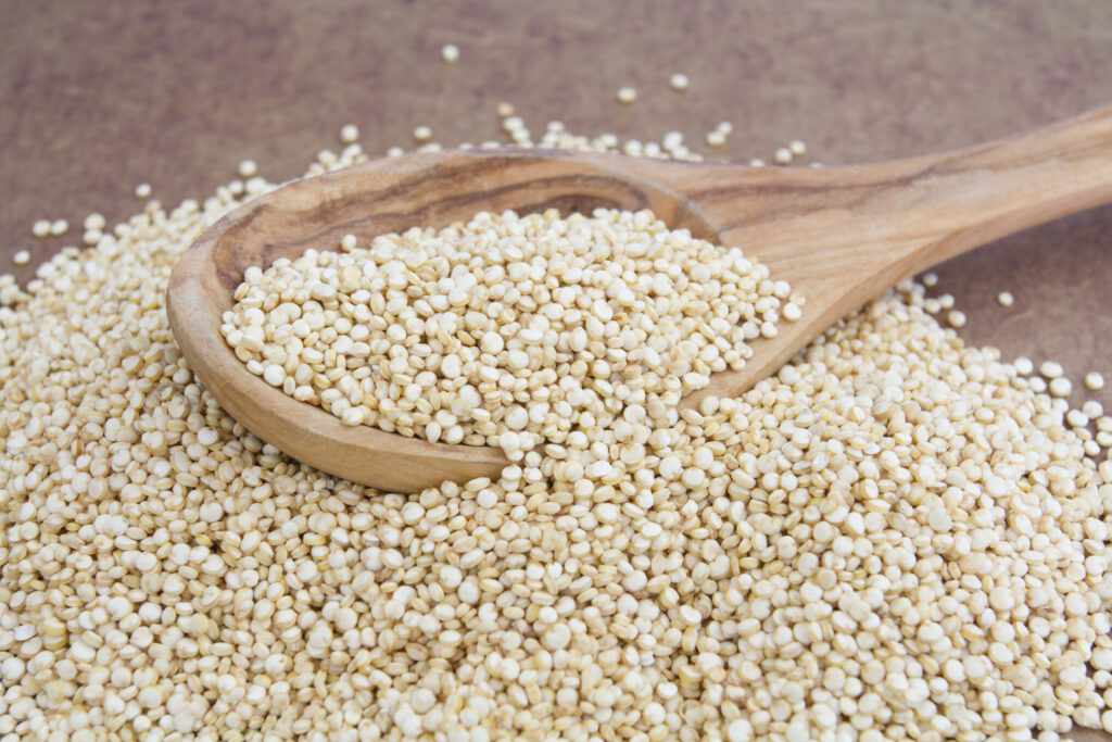 Quinoa Plant-Based Protein Sources