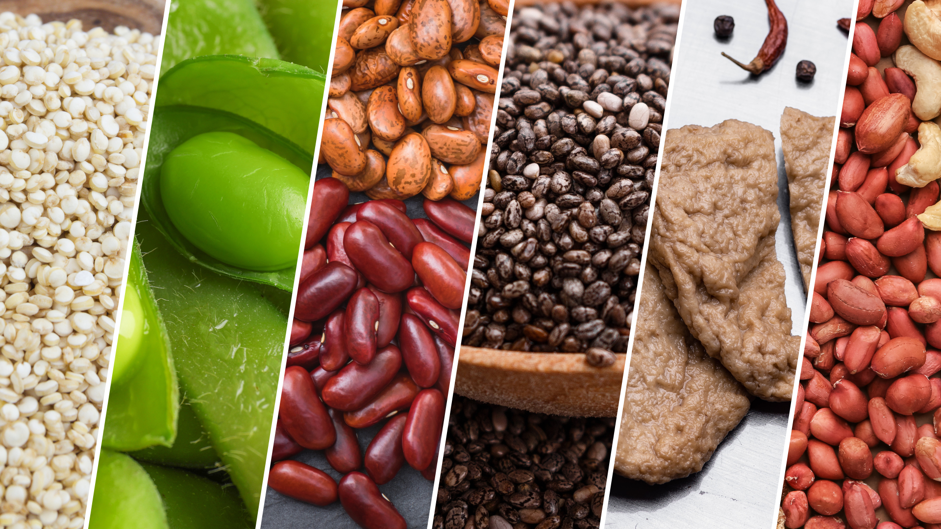 Top 10 Plant-Based Protein Sources